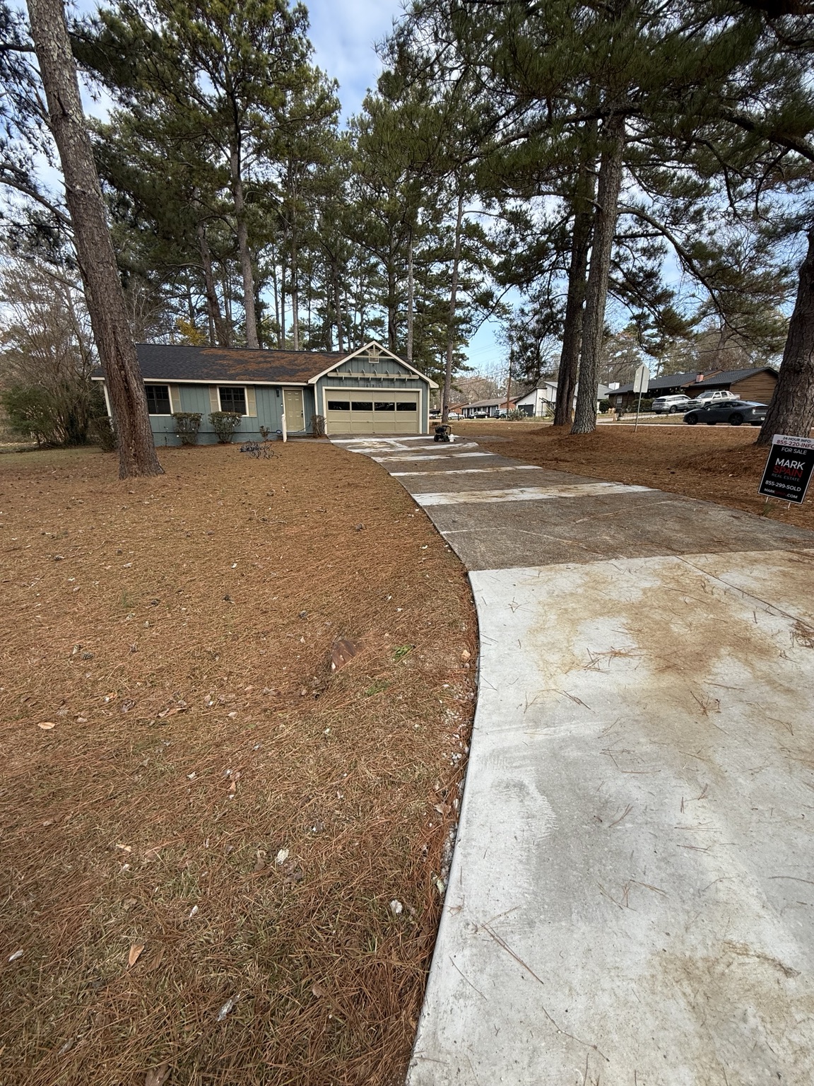 Driveway before cleaning
